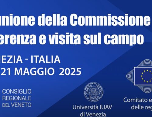 3^ riunione della Commissione NAT